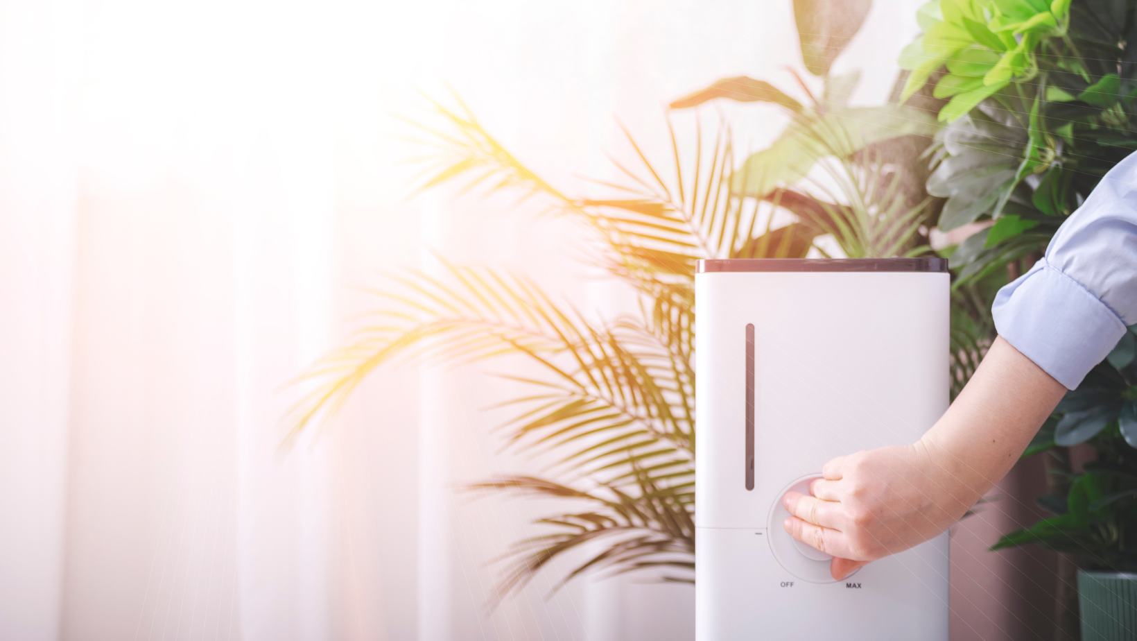 Wie kann man die Luftqualität zu Hause verbessern? Ein umfassender Leitfaden